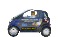 You may have seen Oregano or Barb driving in their limousine - you can't miss it. Just look for the blue and yellow Smart car!